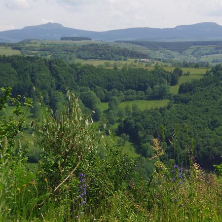 Espace Nature Sabatoux Montusclat Номер фото